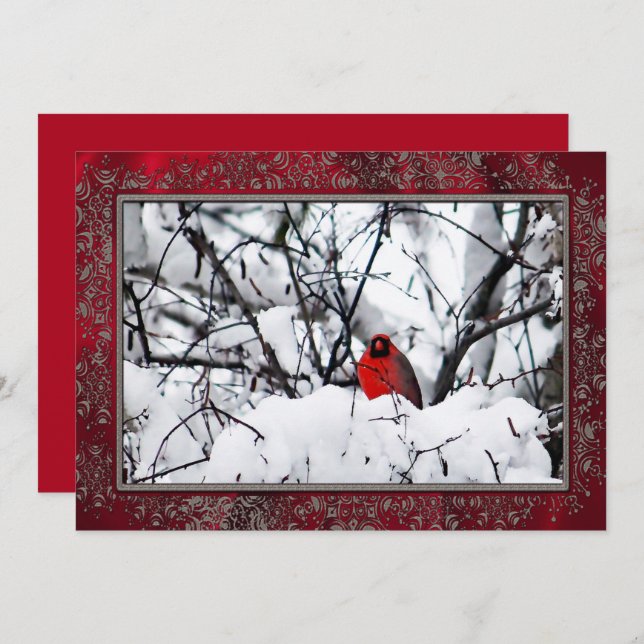 Cardinal Redbird Snow Photo Christmas Invitation (Front/Back)
