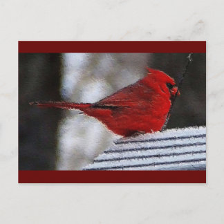 Cardinal Richelieu Postcard