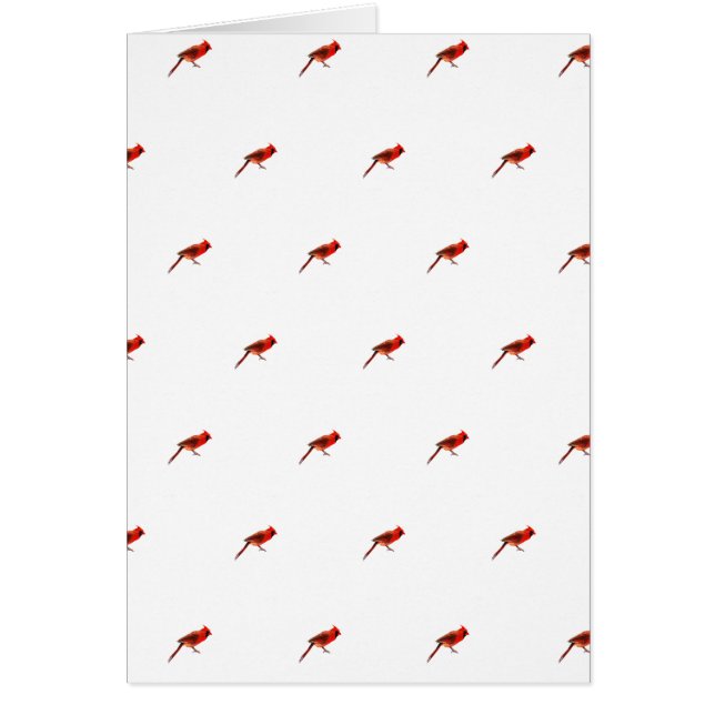 Cardinal(s) (Front)