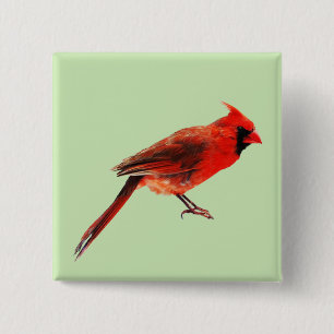 Cardinal(s) 15 Cm Square Badge