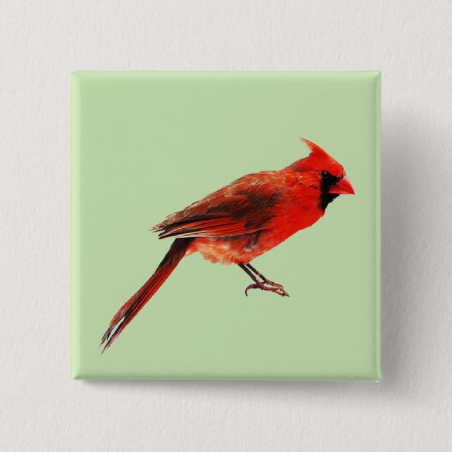 Cardinal(s) 15 Cm Square Badge (Front)