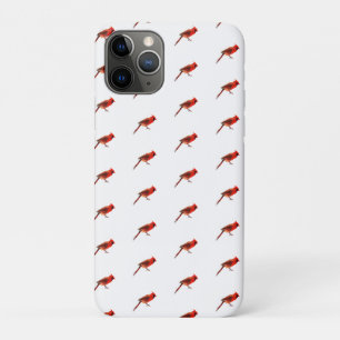 Cardinal(s) iPhone 11 Pro Case