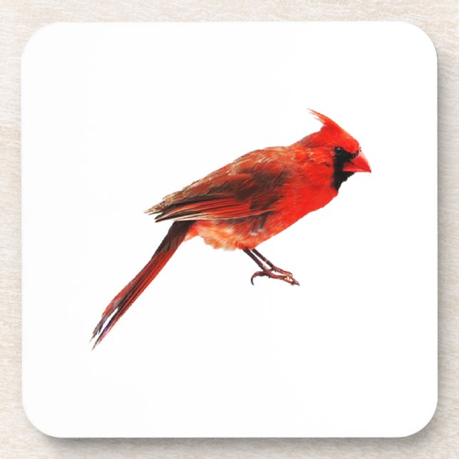Cardinal(s) Coaster (Front)