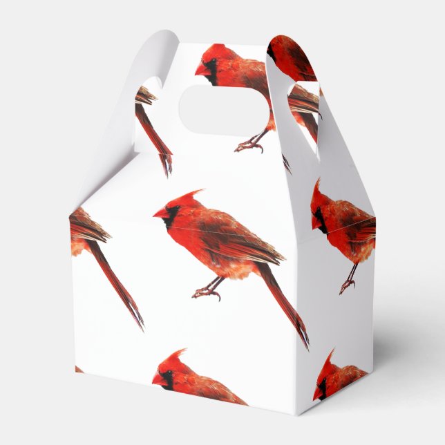 Cardinal(s) Favour Box (Front Side)