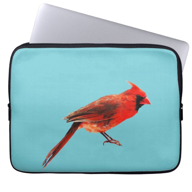 Cardinal(s) Laptop Sleeve (Front)