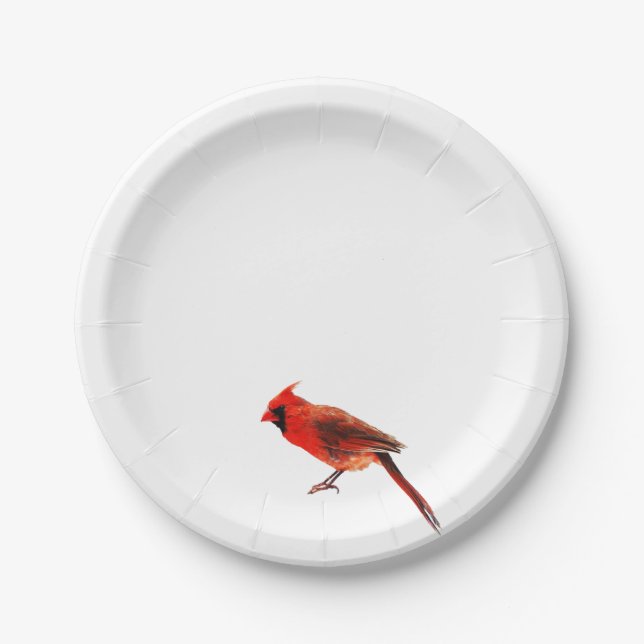 Cardinal(s) Paper Plate (Front)