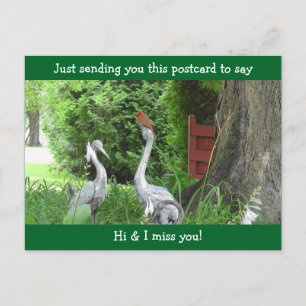 Cardinal saying Hello and Miss You Postcard