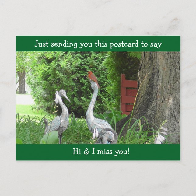 Cardinal  saying Hello and Miss You Postcard (Front)