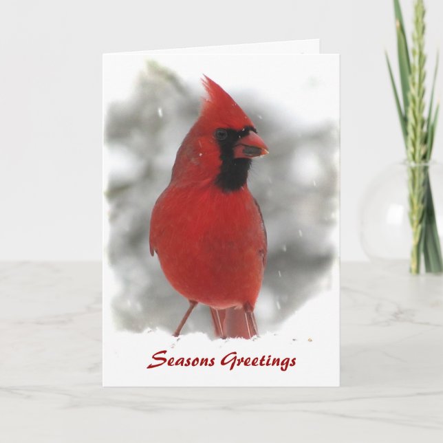 Cardinal Seasons Greetings Holiday Card (Front)