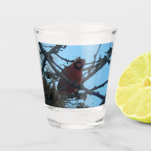 Cardinal  shot glass