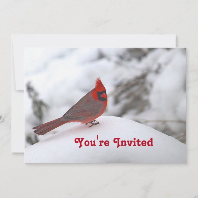 Cardinal Snow 6241 Birthday Invitation (Front)
