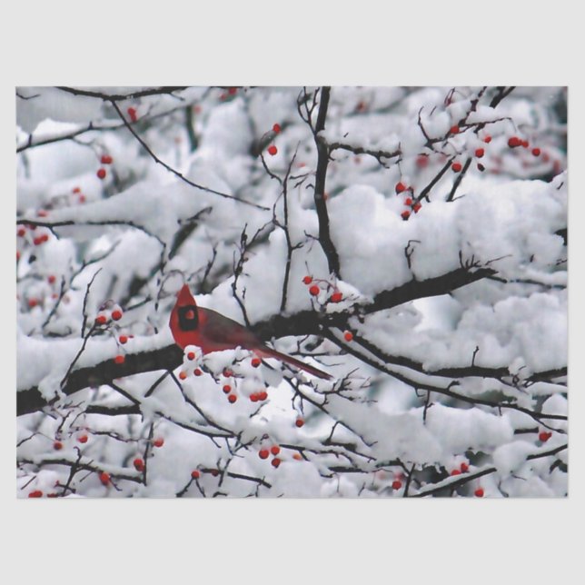 Cardinal Snow Tree Photo Tissue Paper (Front)