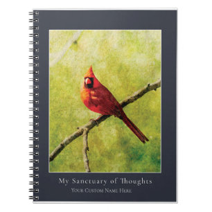 Cardinal Songbird Notebook Nature Art Journal