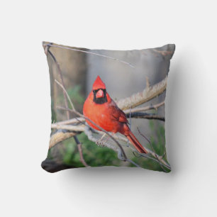 Cardinal Spring Woods Cushion