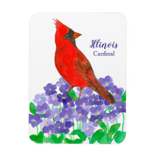 Cardinal State Bird of Illinois Magnet
