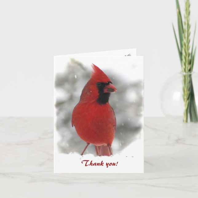 Cardinal Thank You Card (Front)