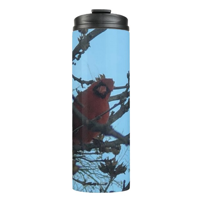 Cardinal Thermal Tumbler (Front)
