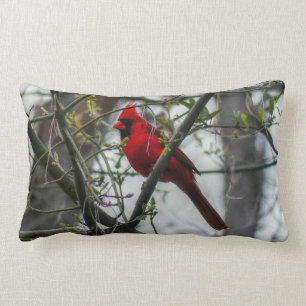 Cardinal Throw Pillow