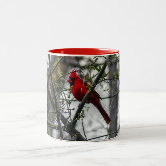 Cardinal Two-Tone Coffee Mug (Center)