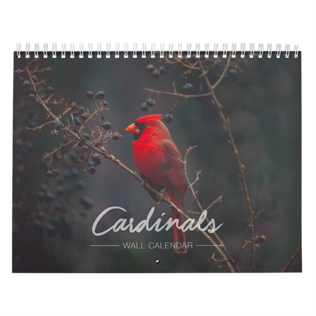 Cardinal Wall Calendar (Cover)