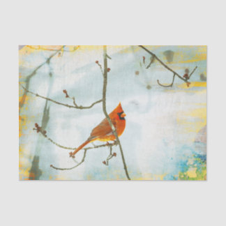 Cardinal Watercolor Tissue Paper