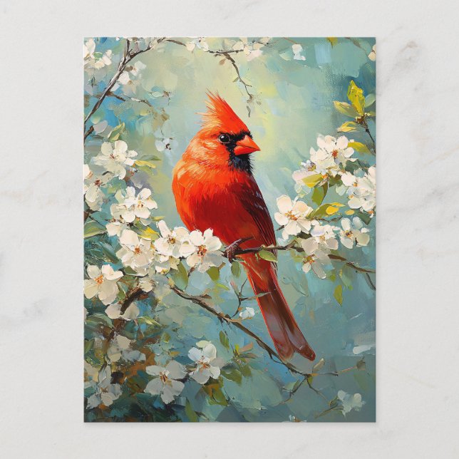 Cardinal White Blossoming Flowers Art Postcard (Front)