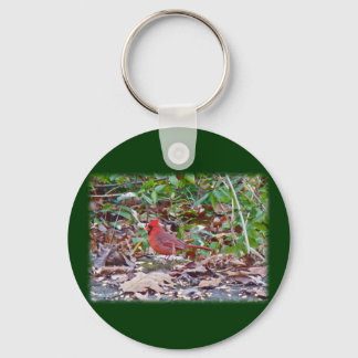 Cardinal Wild Songbird Series Key Ring