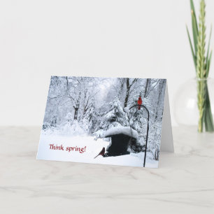 Cardinal  winter holiday birthday Christmas card