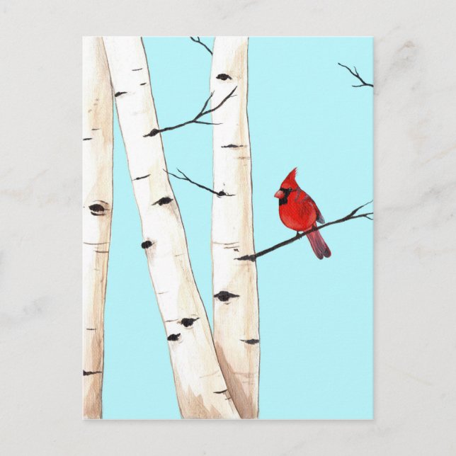 Cardinal with Birch Trees Postcard (Front)