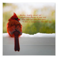Cardinal with Visitor From Heaven poem 12x12