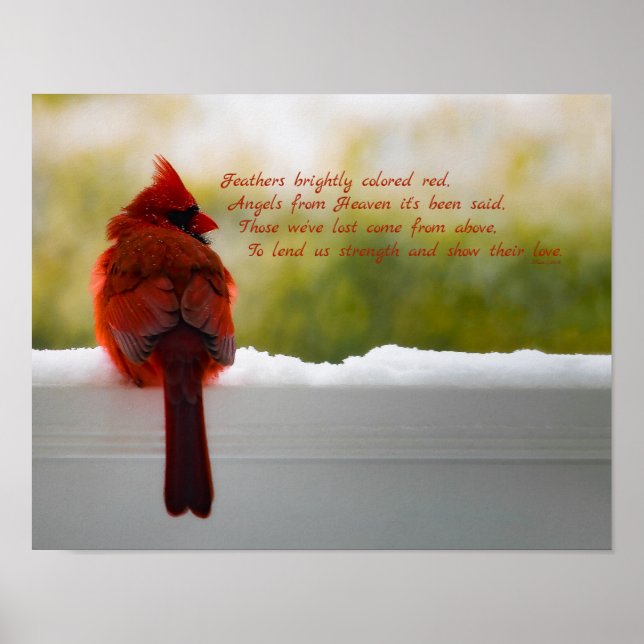 Cardinal with Visitor From Heaven poem 14x11 Poster (Front)