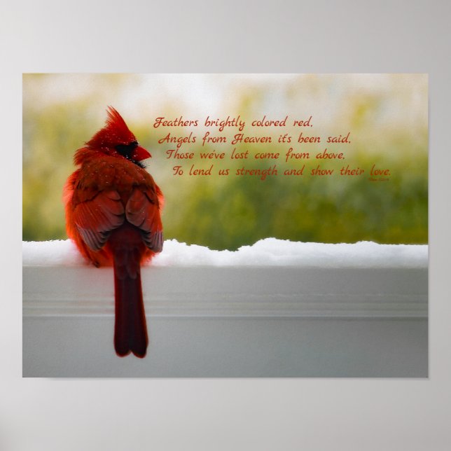 Cardinal with Visitor From Heaven poem 16x12 Poster (Front)