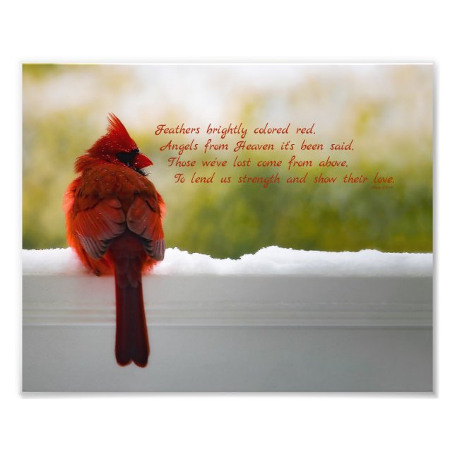 Cardinal with Visitor From Heaven poem 8x10 Photo Print (Front)