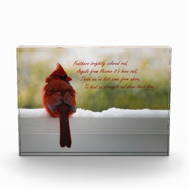 Cardinal with Visitor From Heaven poem Photo Block (Front)
