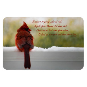 Cardinal with Vistior From Heaven poem Magnet
