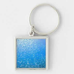 Cardinalfishes swimming underwater key ring