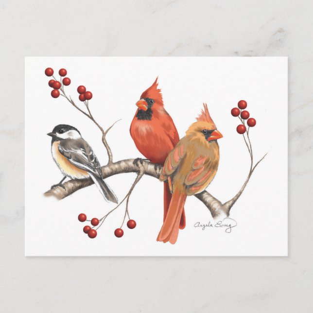 Cardinals and Chickadee with Red Berries Holiday Postcard (Front)