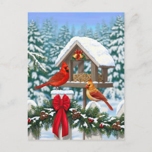 Cardinals and Christmas Bird Feeder Holiday Postcard