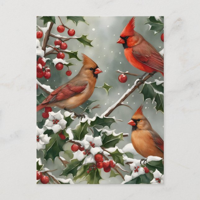 Cardinals and Holly Holiday Postcard (Front)