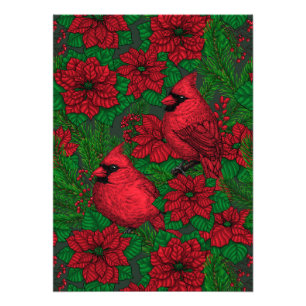 Cardinals and poinsettia for Christmas Photo Print