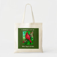 Cardinals Appear Angels Are Near Inspiration