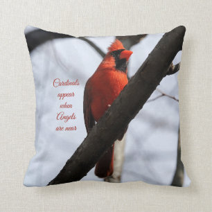 Cardinals appear when angels are near cushion