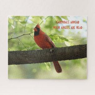Cardinals appear when angels are near! jigsaw puzzle
