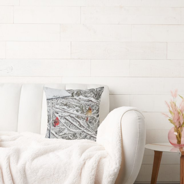 Cardinals Cushion (Couch)