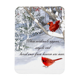 cardinals from heaven magnet
