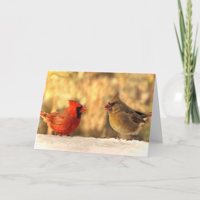 Cardinals in Autumn Greeting Cards (Front)