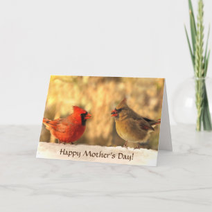 Cardinals in Autumn Mothers Day Card