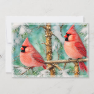 Cardinals in snowy tree, budget Christmas Holiday Card