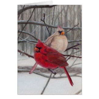 Cardinals in the Snow Blank Card