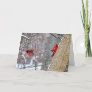 Cardinals in the Snow Card
